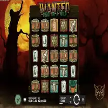Wanted Dead or a Wild Demo Gokkast